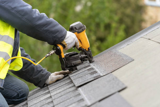 Best Solar Panel Roofing Installation  in Arcola, IL