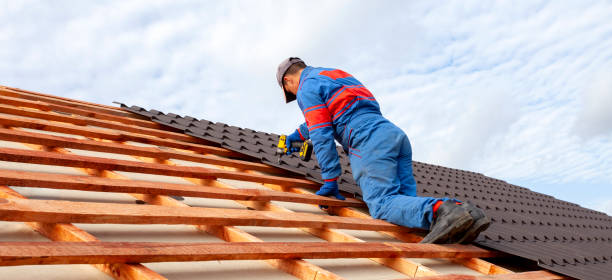Best Roof Maintenance  in Arcola, IL