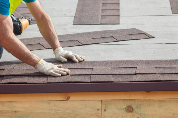 Steel Roofing in Arcola, IL